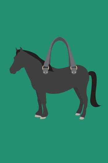 10_PonyHair_Premium