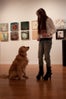 Cutest Shop Dogs In San Francisco Wonderland