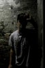 wise-blood