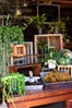 11_MOSS_CRATE_SUPPLIES