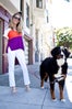 san francisco dogs