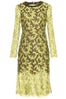 10-Erdem