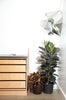 12_Geremia-Design-280