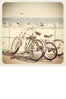 karenblanchard_15