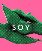 TruthAbout_Soy_Opener