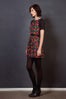 wren-wren-
