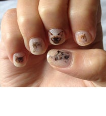 catnails