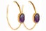 purple-hoop_slide