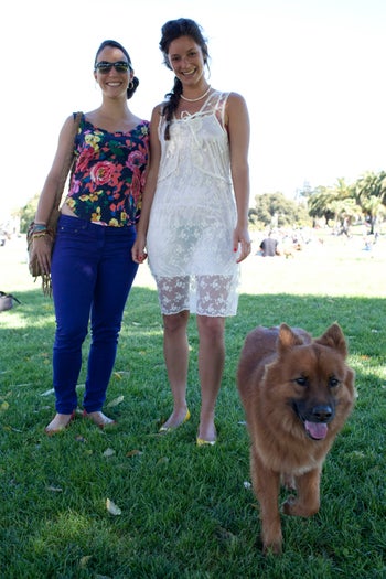 san francisco dogs