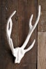 Antlers-West-Elm