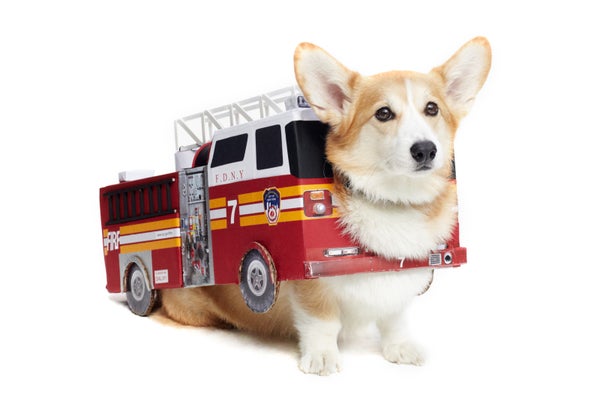 22_Harry_FDNY_firetruck_Corgi281