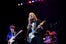 22_Live_DeerTick2