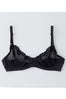 Timpa Duet Lace Underwire Demi_$40_Steven Alan