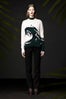 ARAKS AW13 8