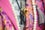 04_&copy;gesischilling-2-4