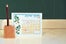 Cat Seto_$22.95_Cat Seto