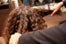really curly hairstyles