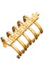 vertebrae