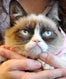 grumpy