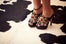 shenae-grimes-home-tour-5