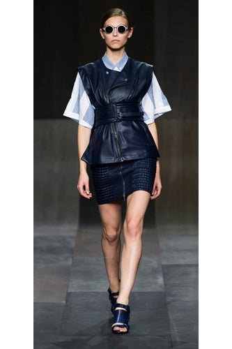 damir-doma-courest-of-damir-doma-(too-narrow-)