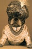 nars-marcel-dog-3