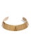 COLLARS_Dannijo-Gold-Collar-Necklace_Stylebop_320