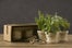 hostessgifts-RestorationHardware