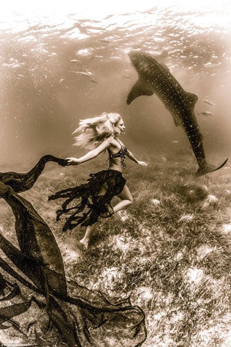 whale-shark-3