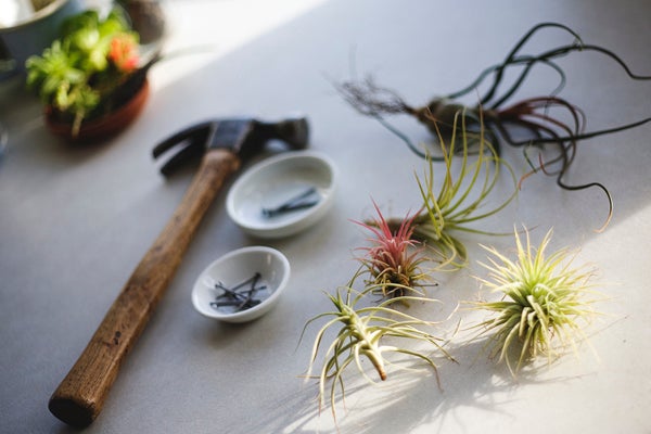 diy gardening project