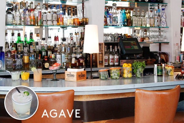Agave