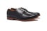 bonobos_363