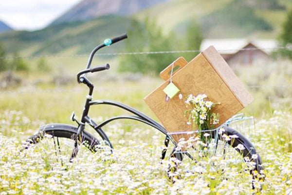 boxsal-todaysdatepicnicbox-25