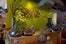 08_Sprout_077