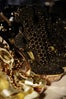 07_McQueen_SS13_NinaW_58