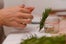 Scandinavian_18