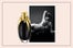 BestOfBeauty_LadyGagaFame