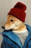 menswear-dog