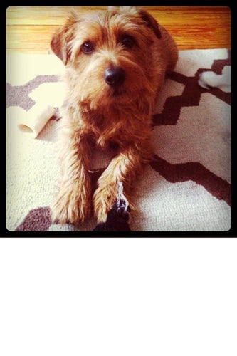 rudy