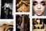 Pinterest_SaraGebhardt
