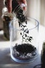 diy gardening project