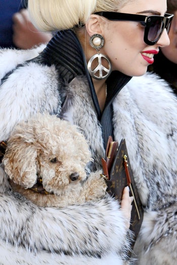 Lady_Gaga