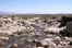 AnzaBorrego3