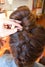 bun hairstyles