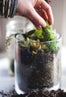 diy gardening project