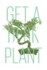 09252012_HappyAtWork_DeskPlant