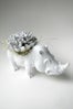 CoastalMoss_$25_CoastalMoss