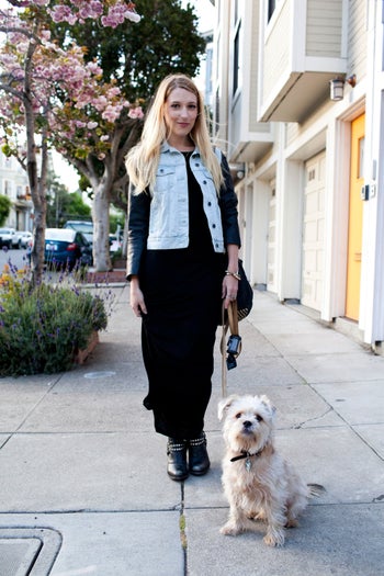 san francisco dogs