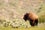 02_016-M