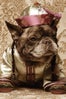 nars-marcel-dog-9